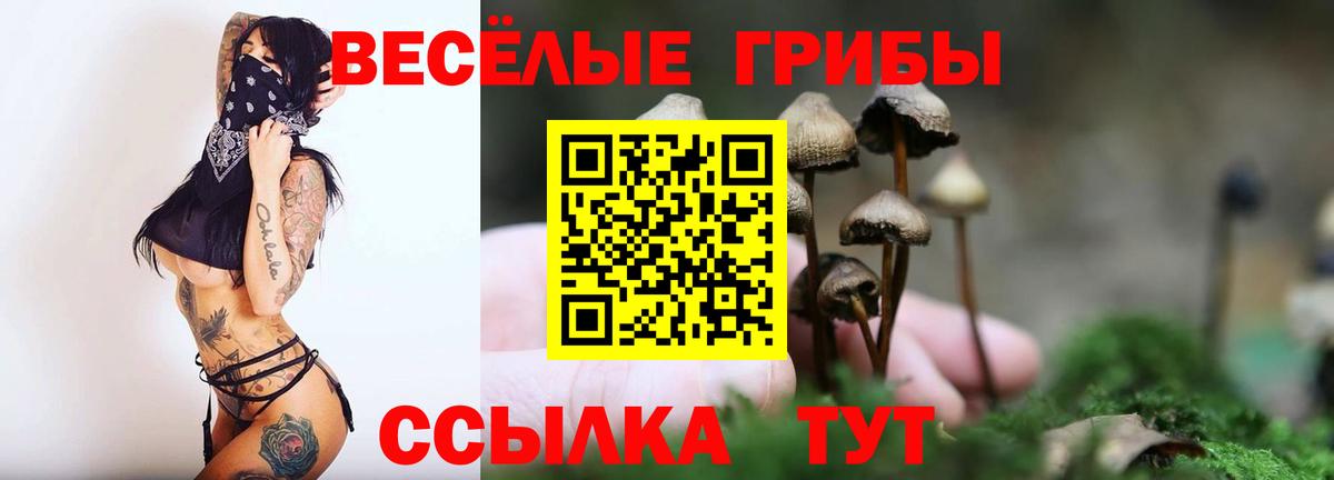 Кировск  Псилоцибиновые грибы GOLDEN TEACHER  Вход с VPN 